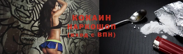 твердый Алзамай