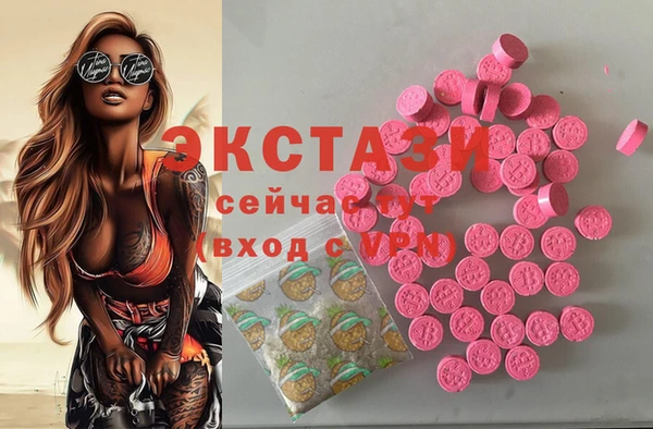 стаф Алексин