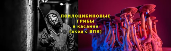 твердый Алзамай