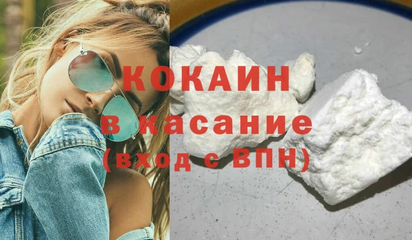 твердый Алзамай