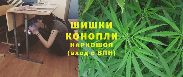 твердый Алзамай