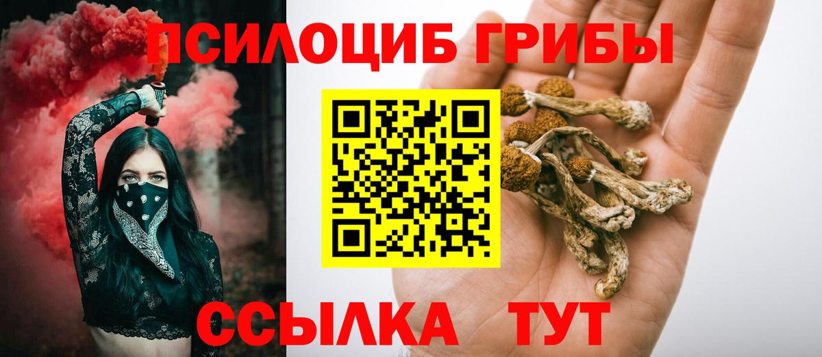Псилоцибиновые грибы мицелий  Вход с VPN  Псилоцибиновые грибы мицелий  Кыштым 